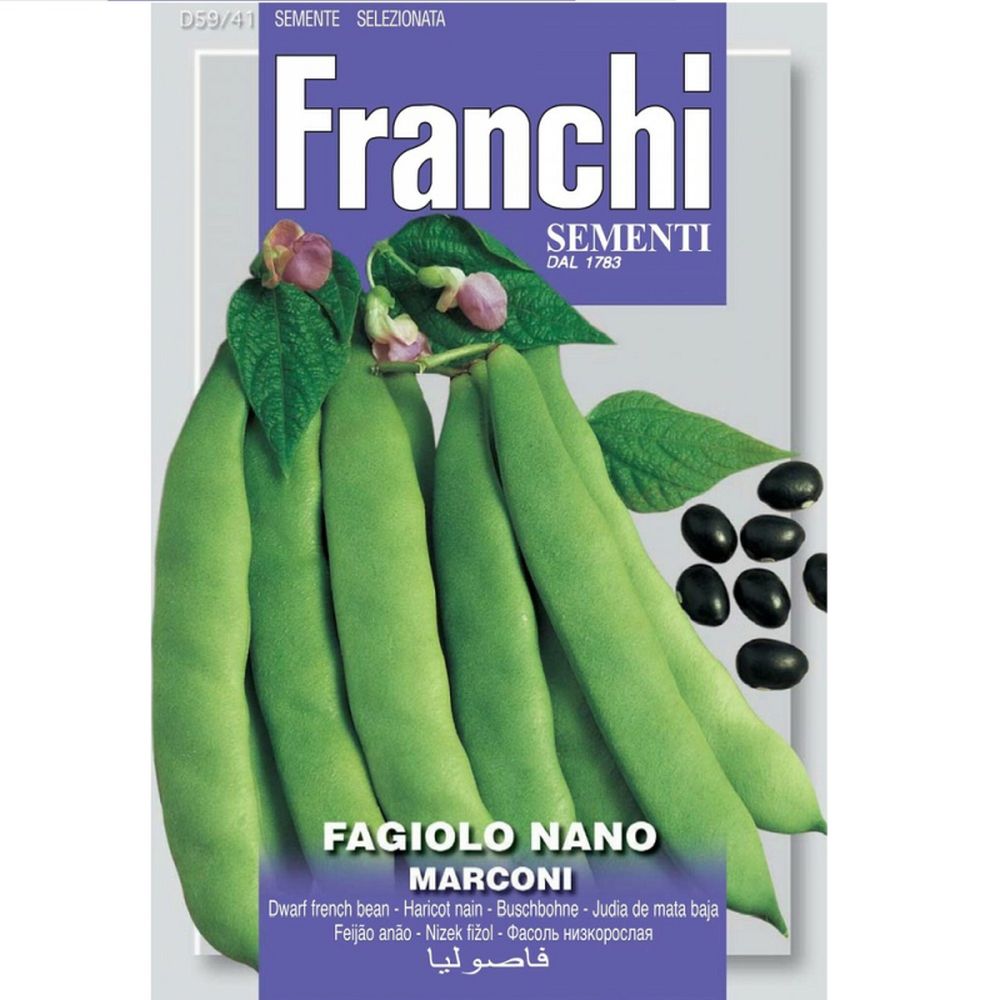 Fagiolo Marconi (Bean)
